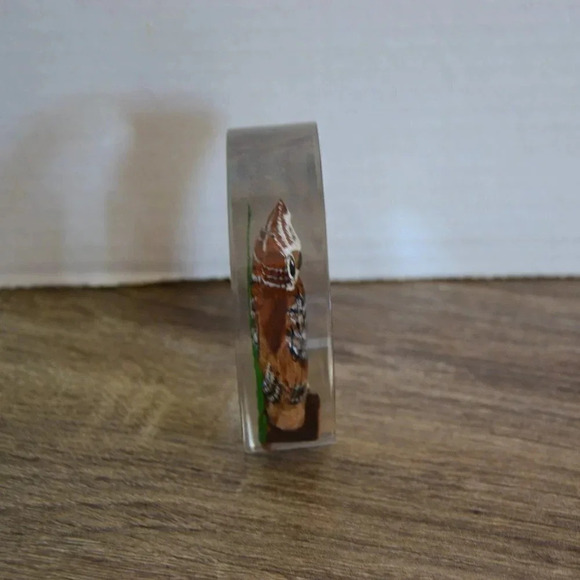 Vtg Lucite Encased Wood Owl Paperweight - Picture 4 of 6
